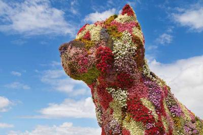 La escultura floral Puppy, junto al Guggenheim Museoa, obra del artista norteamericano Jeff Koons