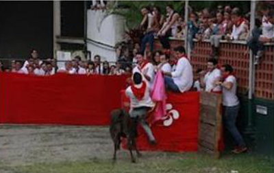 Carabobo San Fermin 2012